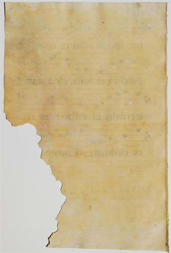 Missale Festivum original parchment from 1649